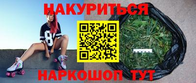 СК Шебекино
