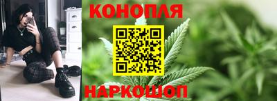 СК Шебекино